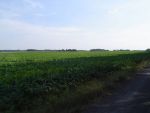 DSC01887.jpg