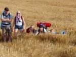 DSC08846.jpg